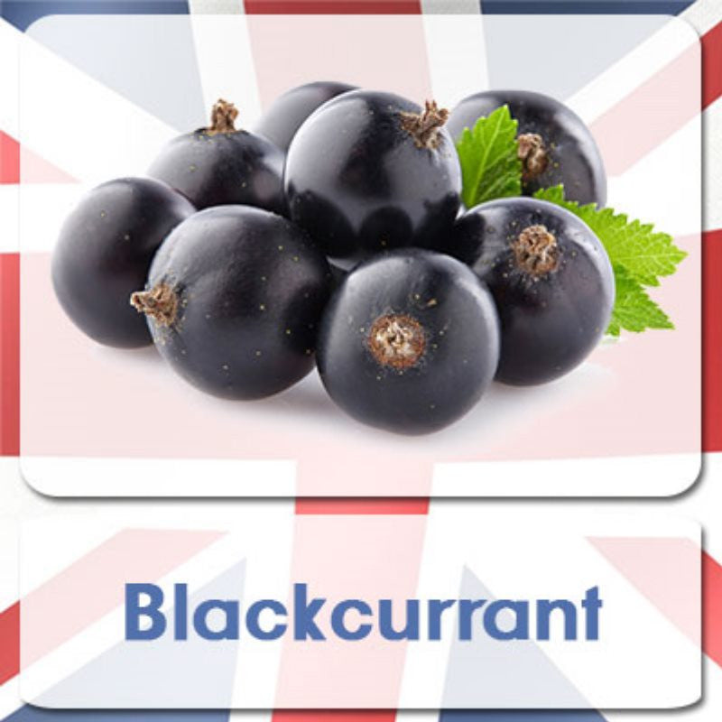 Ultimate Version 2 - Blackcurrant (10ml Bottle) | eliquid